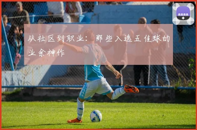 从社区到职业：那些入选五佳球的业余神作